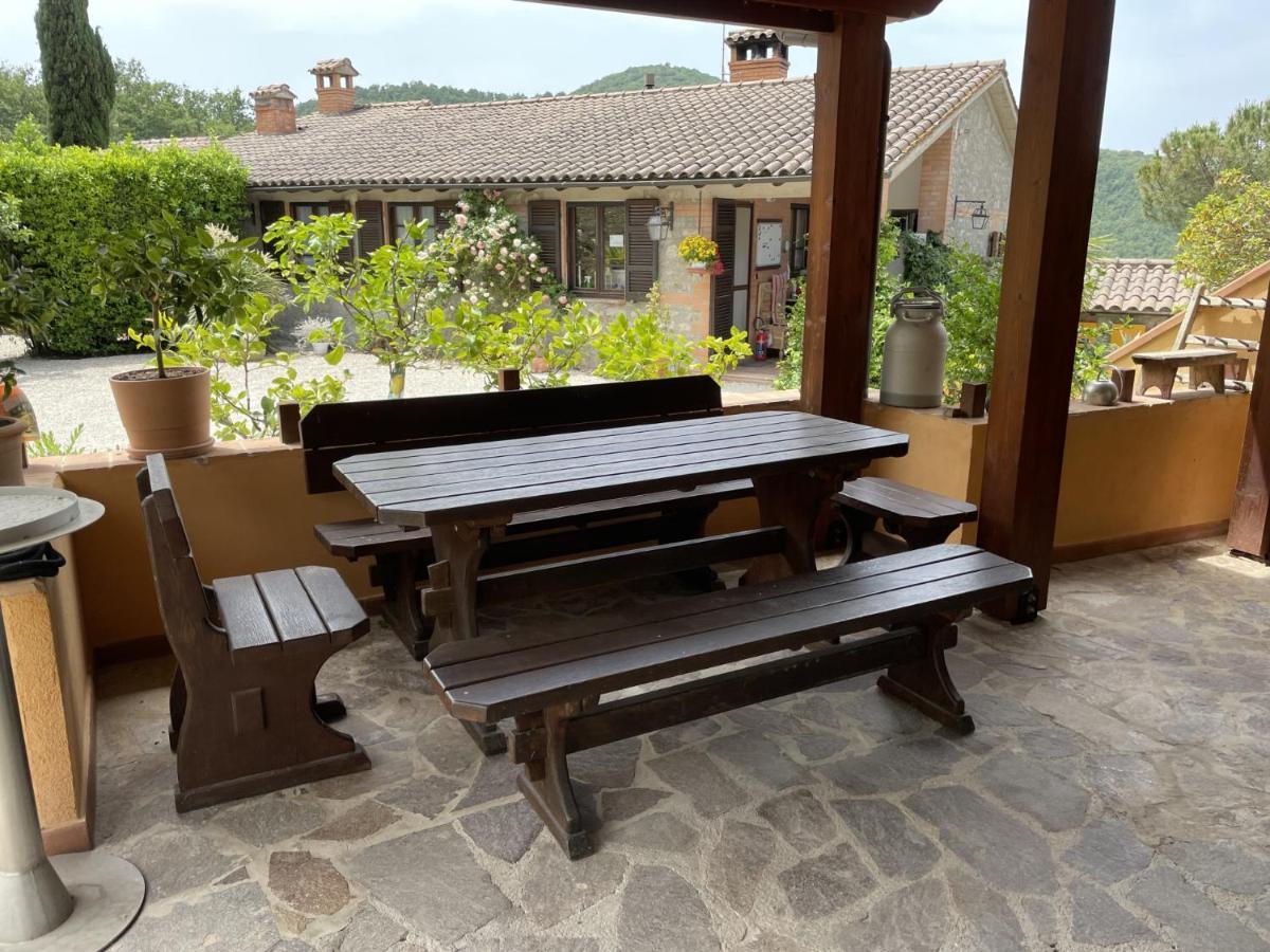 帕尼卡莱Residenza Cerreto-Casalini公寓 外观 照片